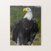 Bald Eagle Colorado. Legpuzzel (Verticaal)