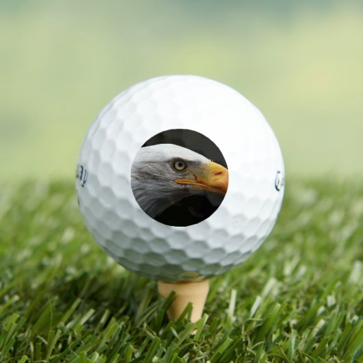 Bald Eagle css gbcna Golfballen (Insitu Shirt)