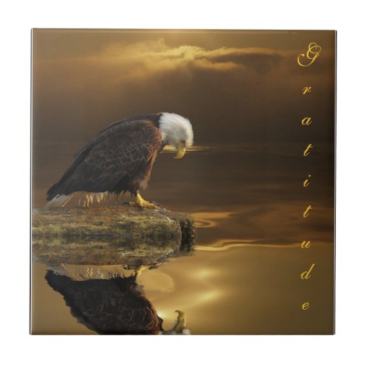 Bald Eagle Dankbaarheid Decoratieve Tegel Tegeltje (Voorkant)