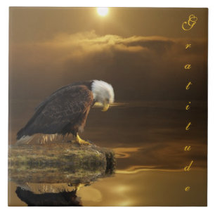 Bald Eagle Dankbaarheid Grotere Decoratieve Tegel Tegeltje