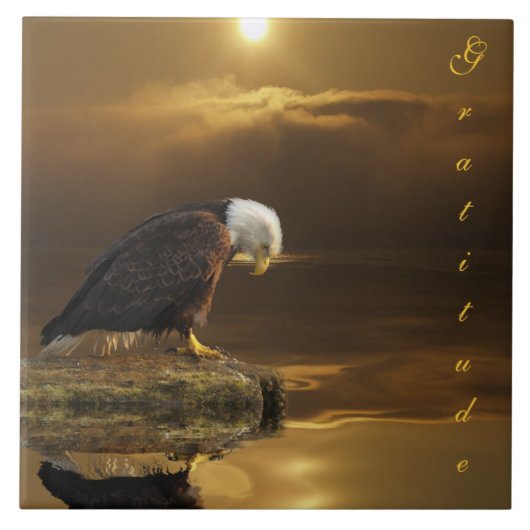 Bald Eagle Dankbaarheid Grotere Decoratieve Tegel Tegeltje (Voorkant)