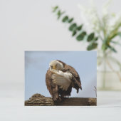 Bald Eagle (de vogel die de vogel geeft) Briefkaart (Staand voorkant)