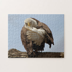 Bald Eagle (de vogel die de vogel geeft) Legpuzzel
