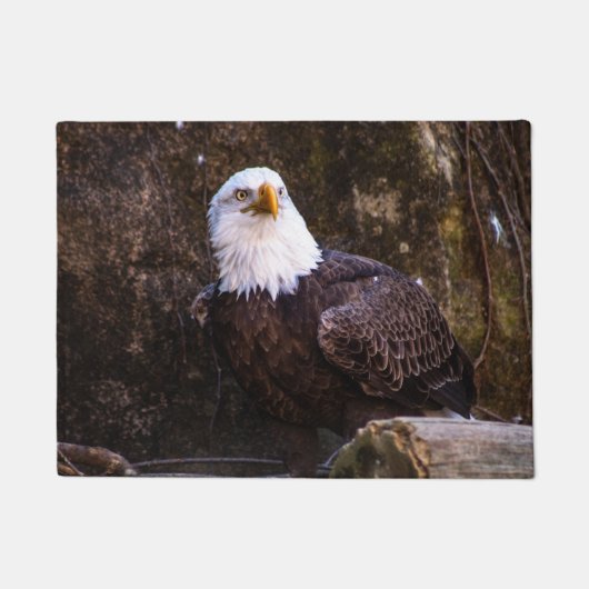 Bald Eagle Deurmat (Voorkant)