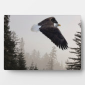 Bald Eagle die door de mist trekt Fotoplaat (voorkant)