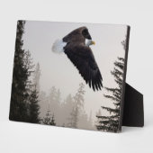 Bald Eagle die door de mist trekt Fotoplaat (Zijkant)