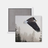Bald Eagle die door de mist trekt Magneet (Voorkant / Achterkant)