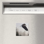 Bald Eagle die door de mist trekt Magneet (Insitu (Vaatwasser))