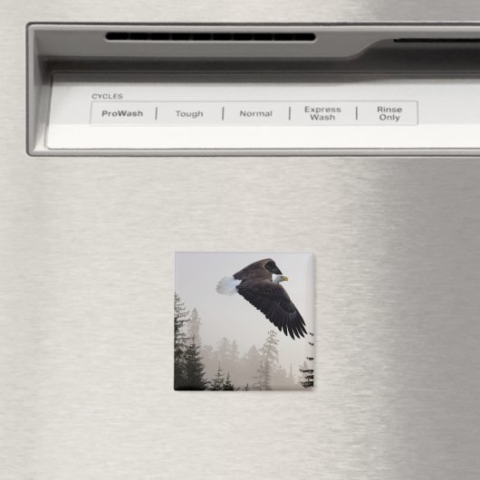 Bald Eagle die door de mist trekt Magneet (Insitu (Vaatwasser))