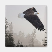 Bald Eagle die door de mist trekt Magneet (Voorkant)