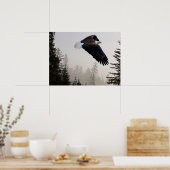 Bald Eagle die door de mist trekt Poster (Keuken)