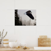Bald Eagle die door de mist trekt Poster (Keuken)