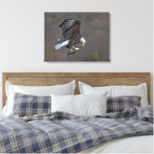 Bald Eagle die naar een vis staart Canvas Afdruk (Insitu (Slaapkamer))