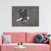 Bald Eagle die naar een vis staart Canvas Afdruk (Insitu (Woonkamer))