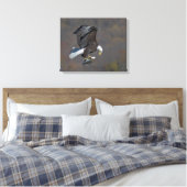 Bald Eagle die naar een vis staart Canvas Afdruk (Insitu (Slaapkamer))