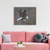 Bald Eagle die naar een vis staart Canvas Afdruk (Insitu (Woonkamer))