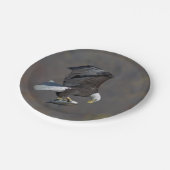 Bald Eagle die naar een vis staart Papieren Bordje (Gekanteld)