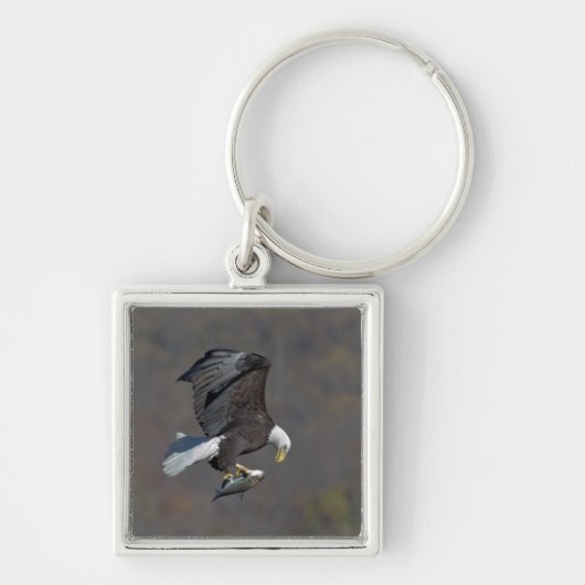 Bald Eagle die naar een vis staart Sleutelhanger (Voorkant)