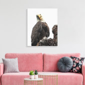 Bald Eagle die naar je kijkt Canvas Afdruk (Insitu (Woonkamer))
