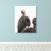 Bald Eagle die naar je kijkt Canvas Afdruk (Insitu (Houten vloer))