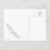 Bald Eagle die naar me kijkt Briefkaart (Achterkant)