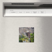 Bald Eagle die op de rockmagneet zit Magneet (Insitu (Vaatwasser))