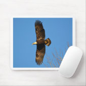 Bald Eagle die over bomen trekt Muismat (Met muis)