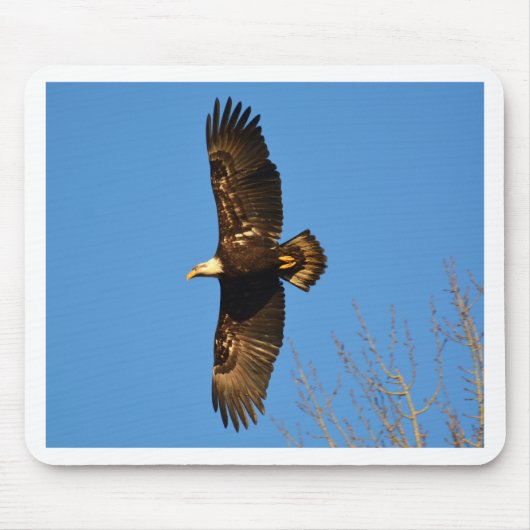 Bald Eagle die over bomen trekt Muismat (Voorkant)