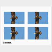 Bald Eagle die over bomen trekt Rechthoekige Sticker (Vel)