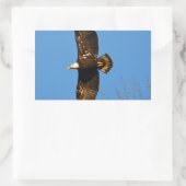 Bald Eagle die over bomen trekt Rechthoekige Sticker (Tas)