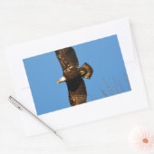 Bald Eagle die over bomen trekt Rechthoekige Sticker (Envelop)