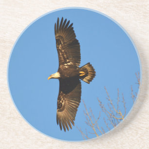 Bald Eagle die over bomen trekt Zandsteen Onderzetter