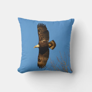 Bald Eagle die over de boompilaar trekt Kussen