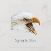 Bald Eagle Dignity & Glory aanpasbaar Briefkaart (Voorkant)