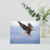 Bald Eagle Dive Briefkaart (Staand voorkant)