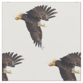 Bald Eagle Dive Stof (Close Up)