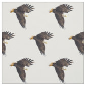 Bald Eagle Dive Stof (Swatch)