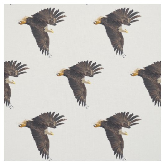 Bald Eagle Dive Stof (Swatch)