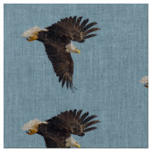 Bald Eagle Dive Stof (Close Up)