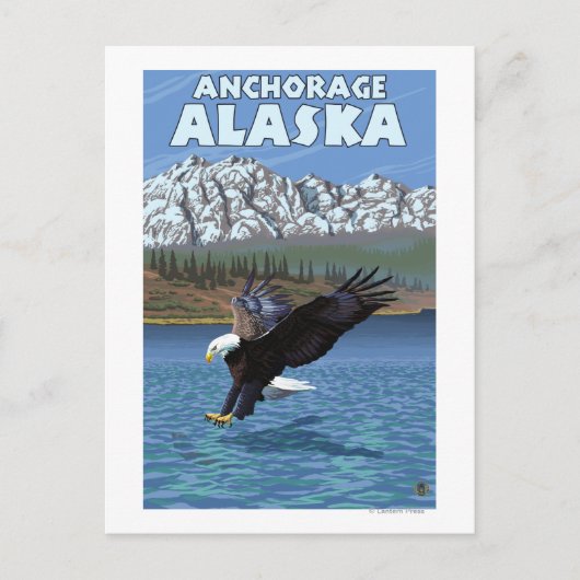 Bald Eagle Diving - Anchorage, Alaska Briefkaart (Voorkant)