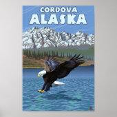 Bald Eagle Diving - Cordova, Alaska Poster (Voorkant)