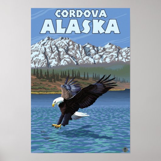 Bald Eagle Diving - Cordova, Alaska Poster (Voorkant)