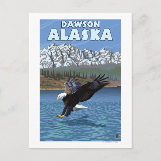 Bald Eagle Diving - Dawson, Alaska Briefkaart (Voorkant)