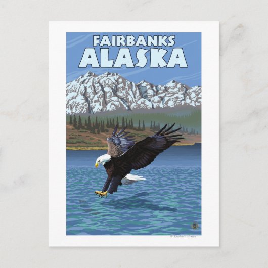 Bald Eagle Diving - Fairbanks, Alaska Briefkaart (Voorkant)