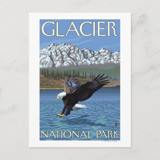 Bald Eagle Diving - Glacier National Park, MT Briefkaart (Voorkant)