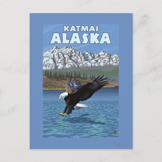 Bald Eagle Diving - Katmai, Alaska Briefkaart (Voorkant)