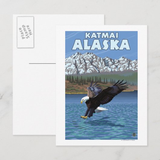 Bald Eagle Diving - Katmai, Alaska Briefkaart (Voorkant / Achterkant)