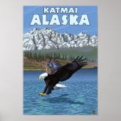 Bald Eagle Diving - Katmai, Alaska Poster (Voorkant)