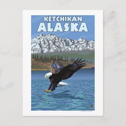 Bald Eagle Diving - Ketchikan, Alaska Briefkaart (Voorkant)