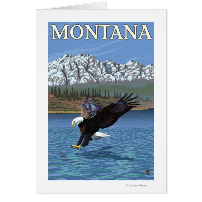 Bald Eagle Diving - Montana (Voorkant)